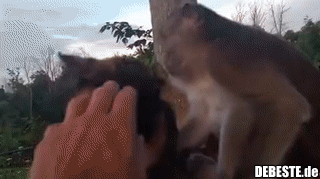 So wird das nicht gemacht, Kumpel.