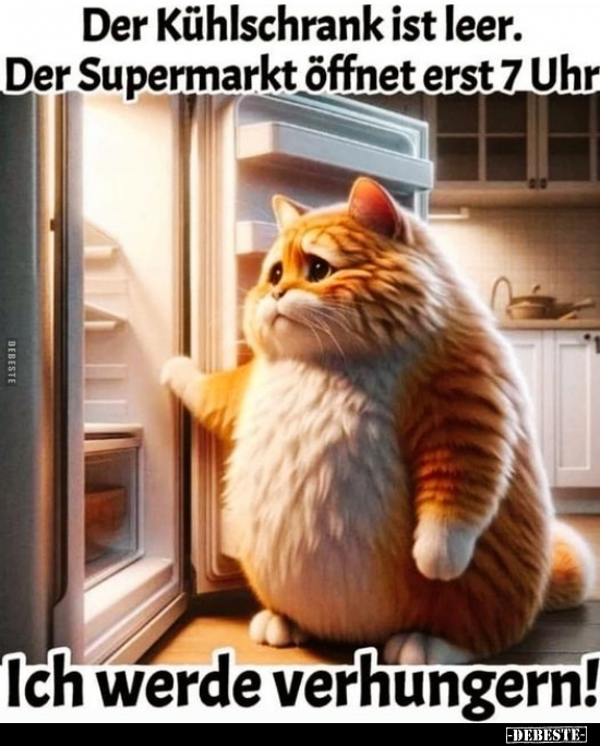 Der Kühlschrank ist leer.. - Lustige Bilder | DEBESTE.de