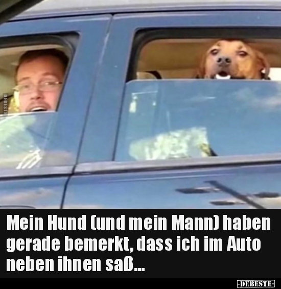Mein Hund (und mein Mann) haben gerade bemerkt, dass ich.. - Lustige Bilder | DEBESTE.de