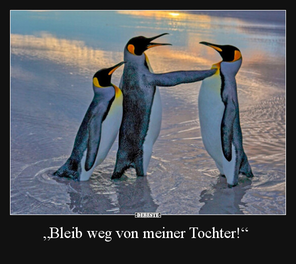 "Bleib weg von meiner Tochter!".. - Lustige Bilder | DEBESTE.de