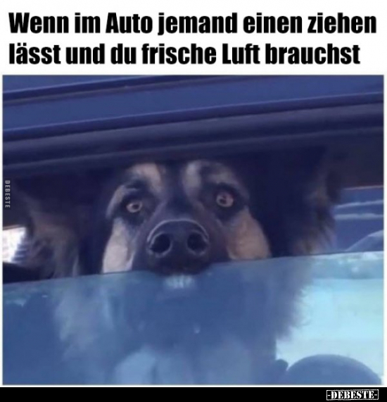 Wenn im Auto jemand einen ziehen lässt und du frische Luft.. - Lustige Bilder | DEBESTE.de