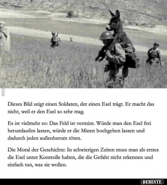 Dieses Bild zeigt einen Soldaten, der einen Esel trägt... - Lustige Bilder | DEBESTE.de