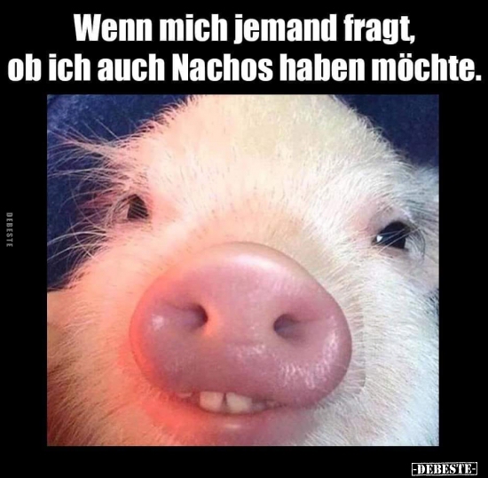 Wenn mich jemand fragt, ob ich auch Nachos haben..