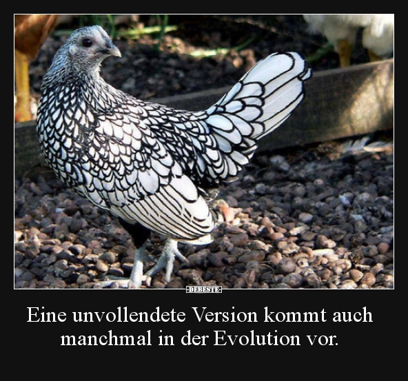 Eine unvollendete Version kommt auch manchmal in der..