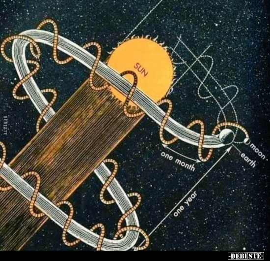  - Lustige Bilder | DEBESTE.de