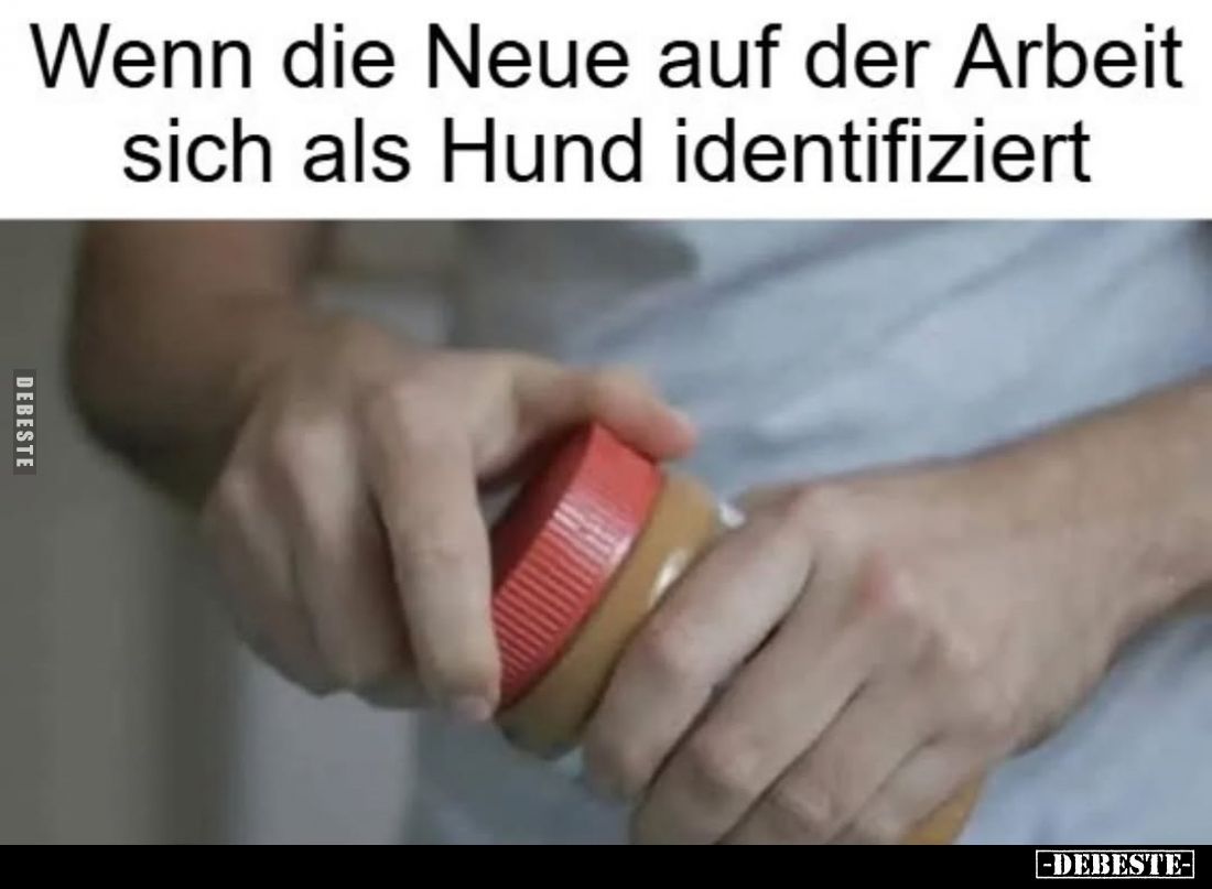 Wenn die Neue auf der Arbeit sich als Hund identifiziert.