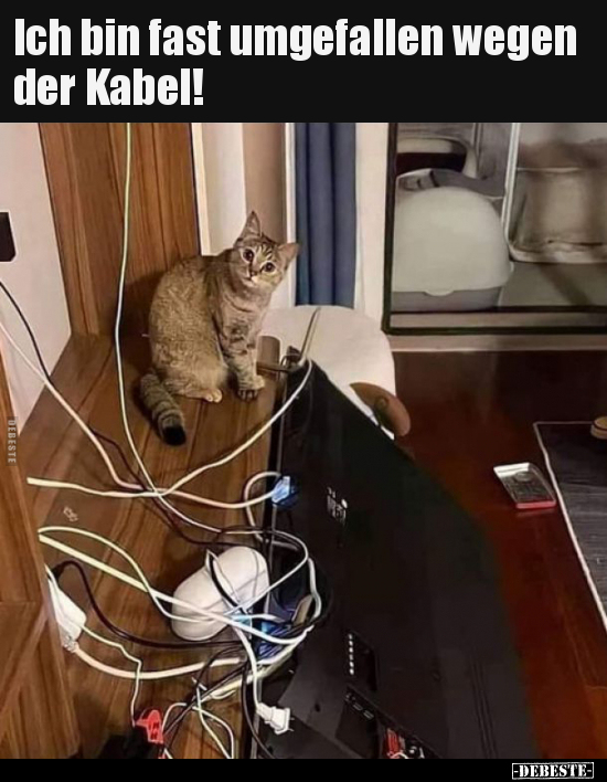 Ich bin fast umgefallen wegen der Kabel!.. - Lustige Bilder | DEBESTE.de