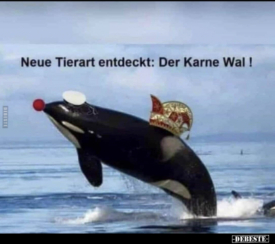 Neue Tierart entdeckt: Der Karne Wal !.. - Lustige Bilder | DEBESTE.de