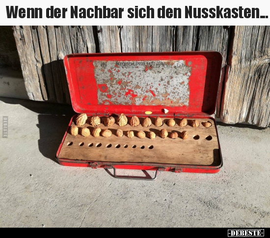 Wenn der Nachbar sich den Nusskasten...