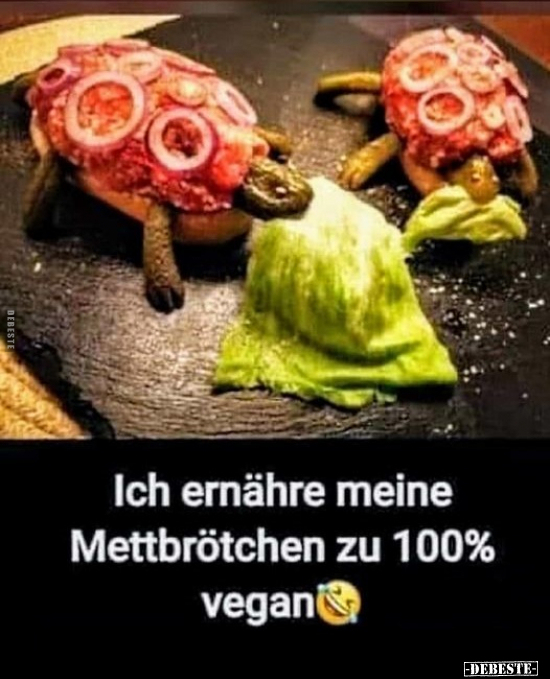 Ich ernähre meine Mettbrötchen zu 100% vegan.. - Lustige Bilder | DEBESTE.de