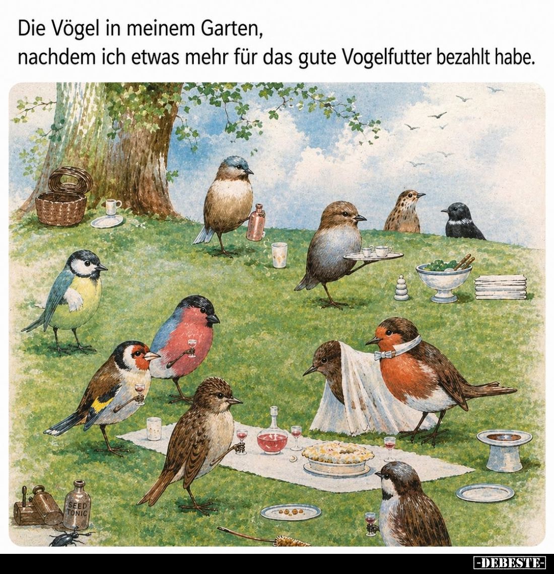 Die Vögel in meinem Garten, nachdem ich etwas mehr für das gute Vogelfutter bezahlt habe.