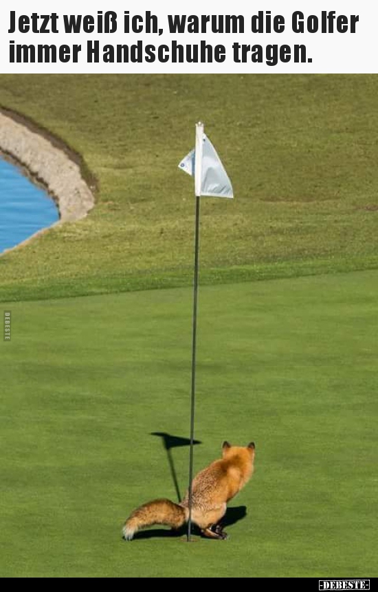 50++ Witzig lustige golf bilder , 10 lustige Bilder von Golfer in 2021 Lustig, neue, DEBESTE