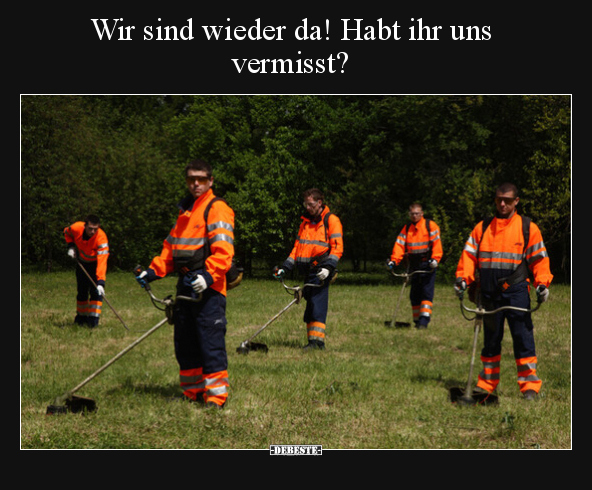 Wir sind wieder da! Habt ihr uns vermisst?