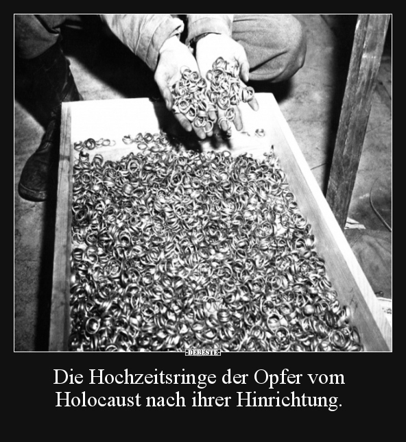 Die Hochzeitsringe der Opfer vom Holocaust.. - Lustige Bilder | DEBESTE.de