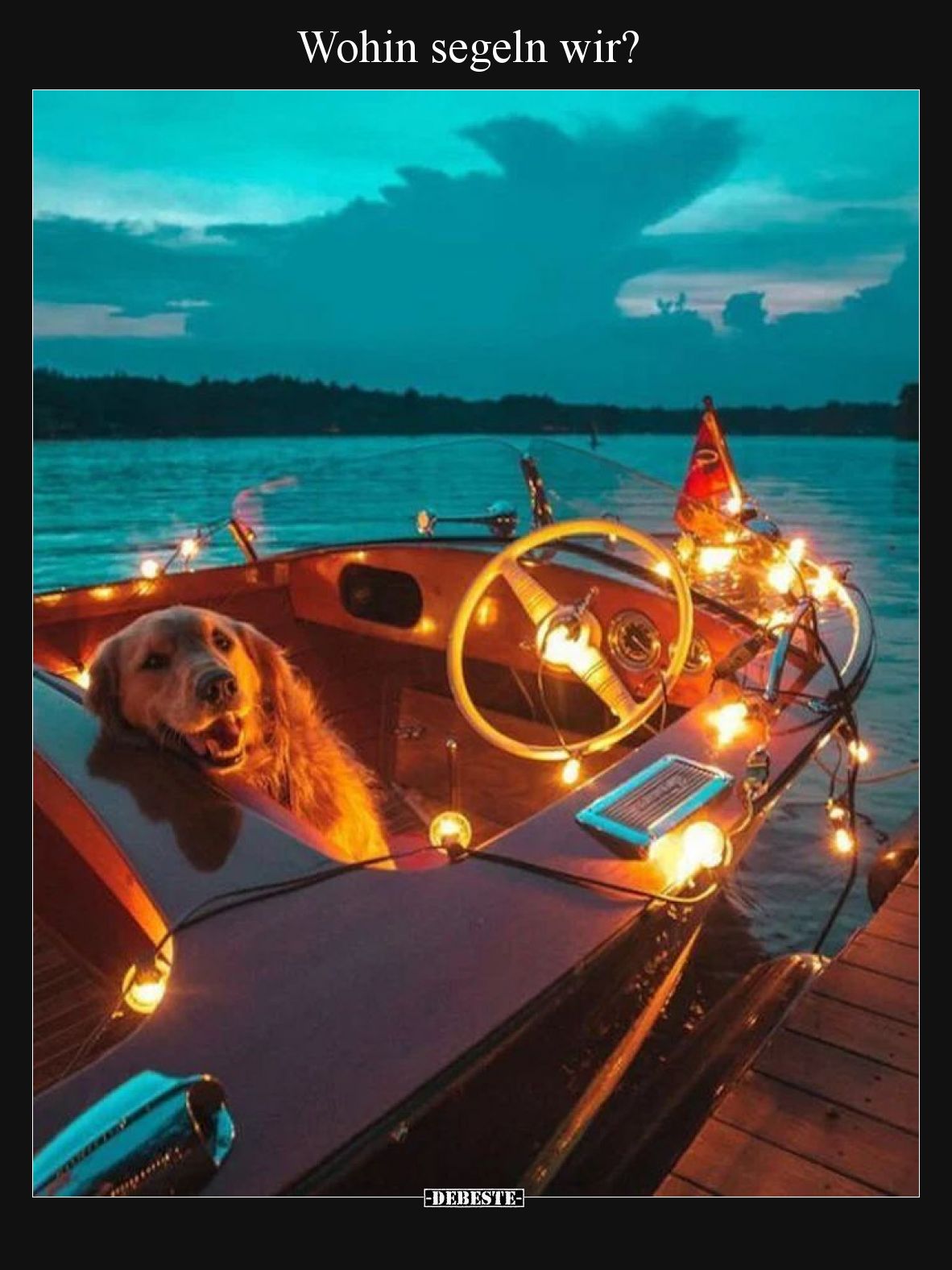 Wohin segeln wir?.. - Lustige Bilder | DEBESTE.de