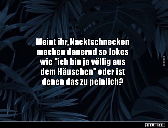 Meint ihr, Nacktschnecken machen dauernd so Jokes wie.. - Lustige Bilder | DEBESTE.de