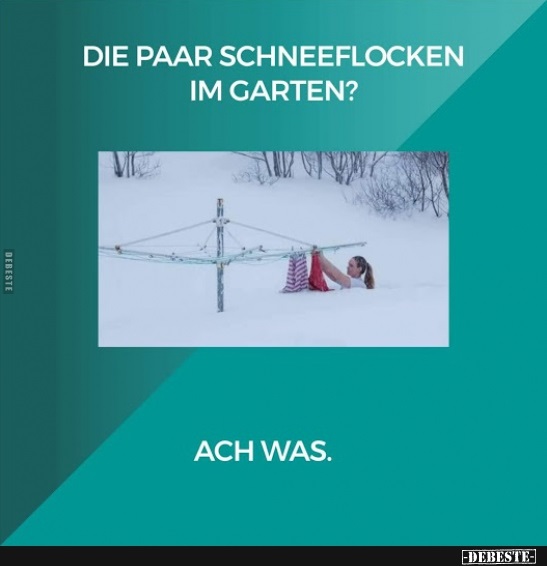 Die paar Schneeflocken im Garten? - Lustige Bilder | DEBESTE.de