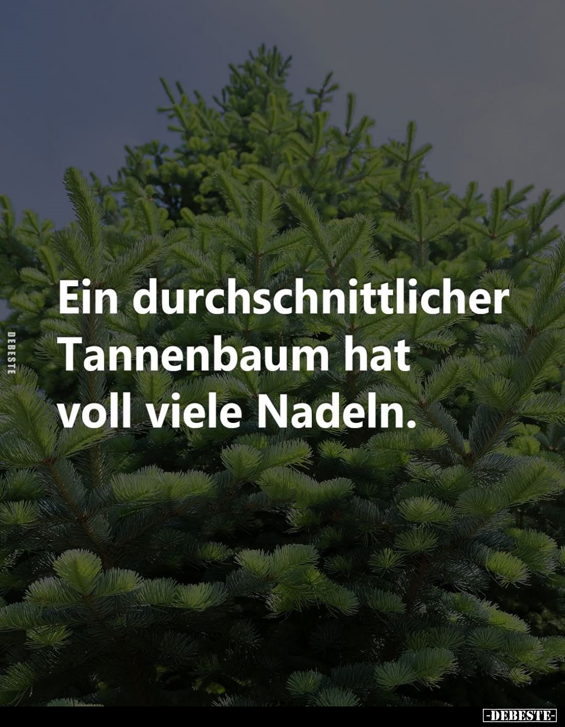 Ein durchschnittlicher Tannenbaum hat voll viele Nadeln.