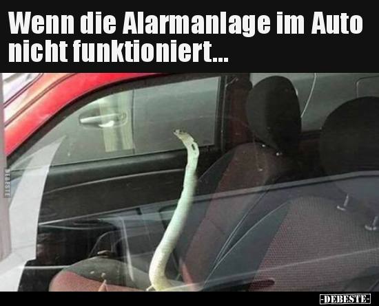 Wenn die Alarmanlage im Auto nicht funktioniert... - Lustige Bilder | DEBESTE.de