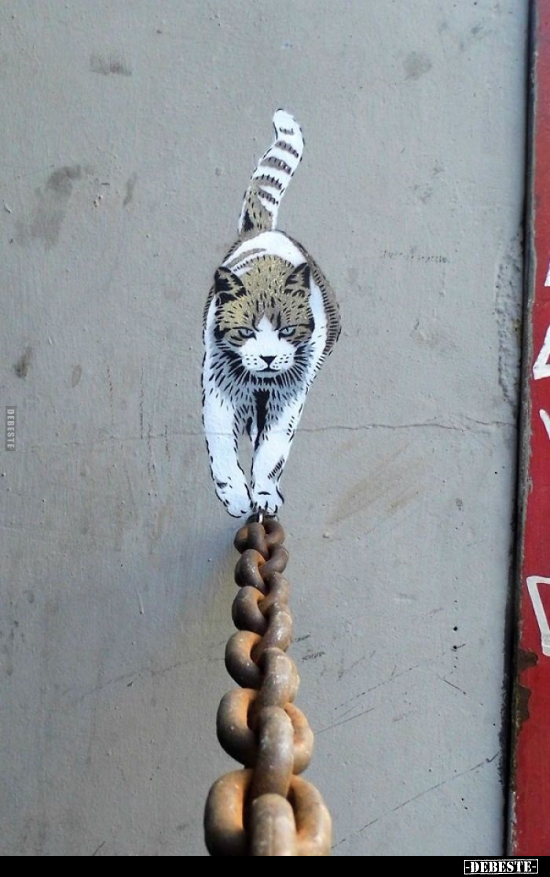  - Lustige Bilder | DEBESTE.de