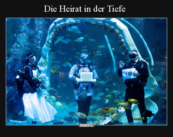 Die Heirat in der Tiefe.. - Lustige Bilder | DEBESTE.de