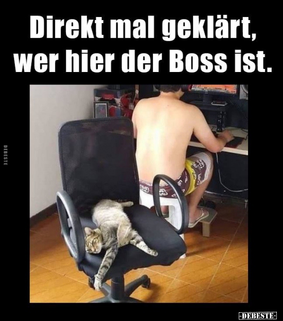 Direkt mal geklärt, wer hier der Boss ist.