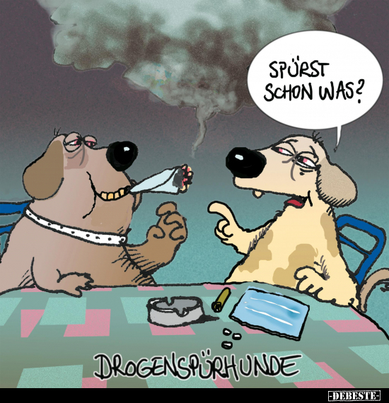 Drogenspurhunde.. - Lustige Bilder | DEBESTE.de