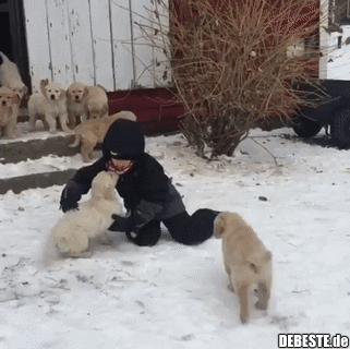 Jeder möchte kuscheln.. :)