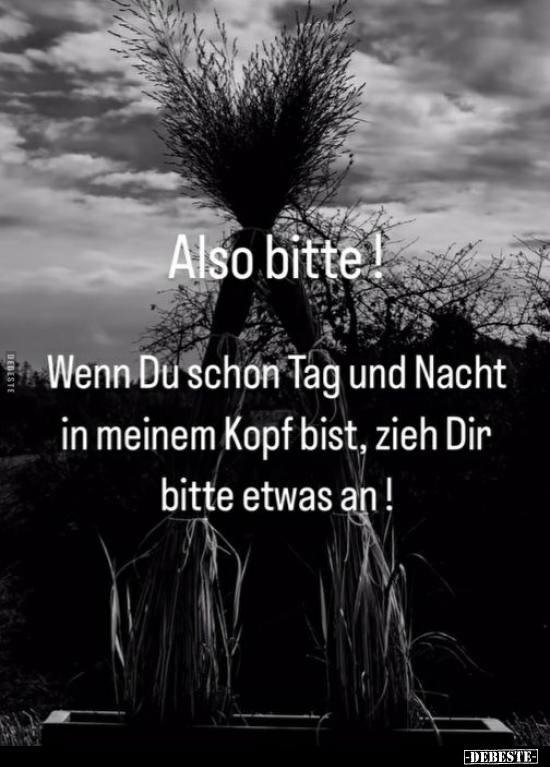 Also bitte!
Wenn Du schon Tag und Nacht in meinem Kopf bist, zieh Dir bitte etwas an!