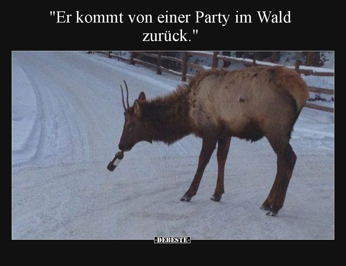 Er kommt von einer Party im Wald zurück.