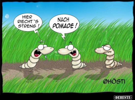 Hier riecht's streng!..