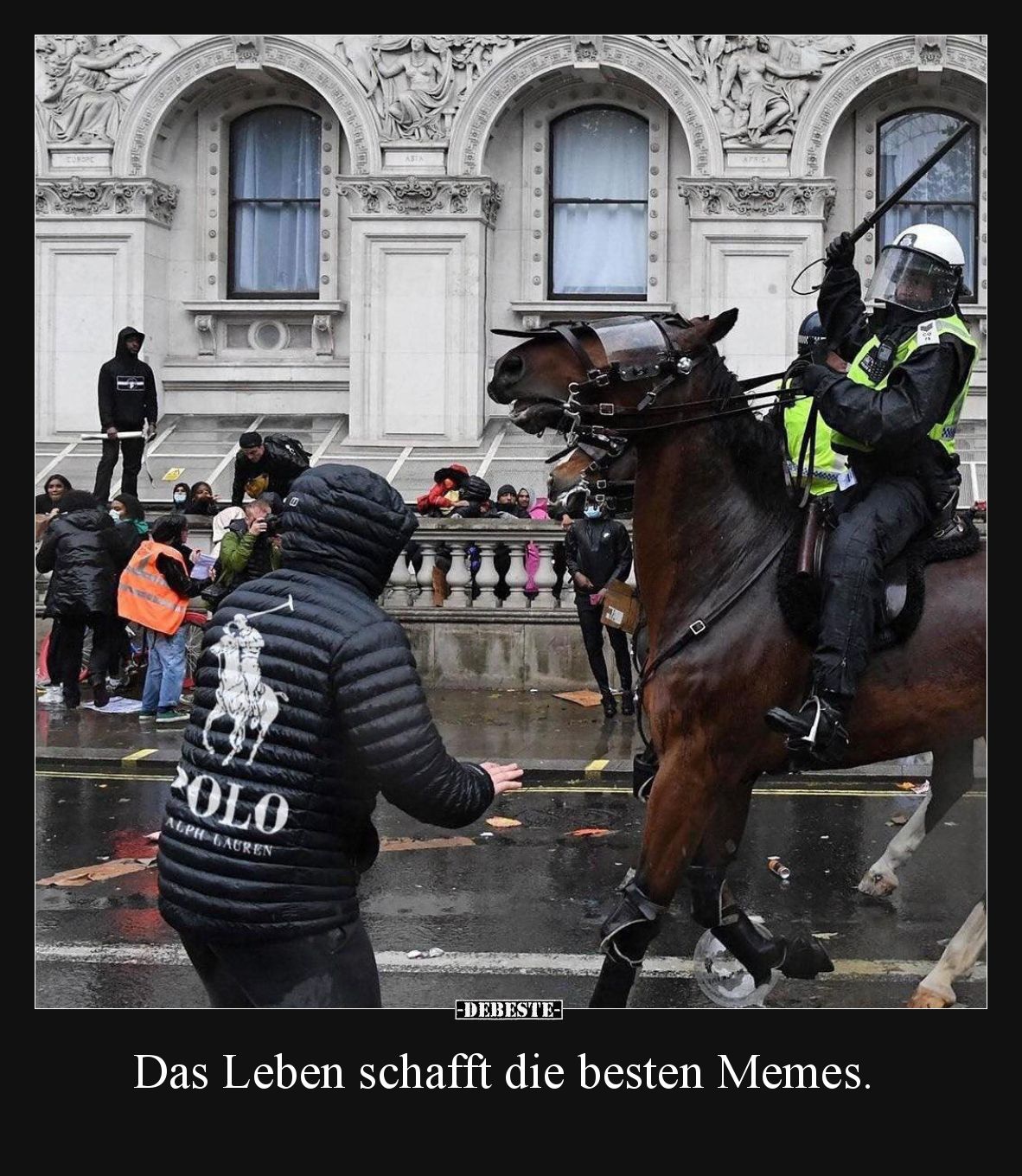 Das Leben schafft die besten Memes.