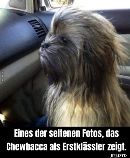 Eines der seltenen Fotos, das Chewbacca als Erstklässler.. - Lustige Bilder | DEBESTE.de
