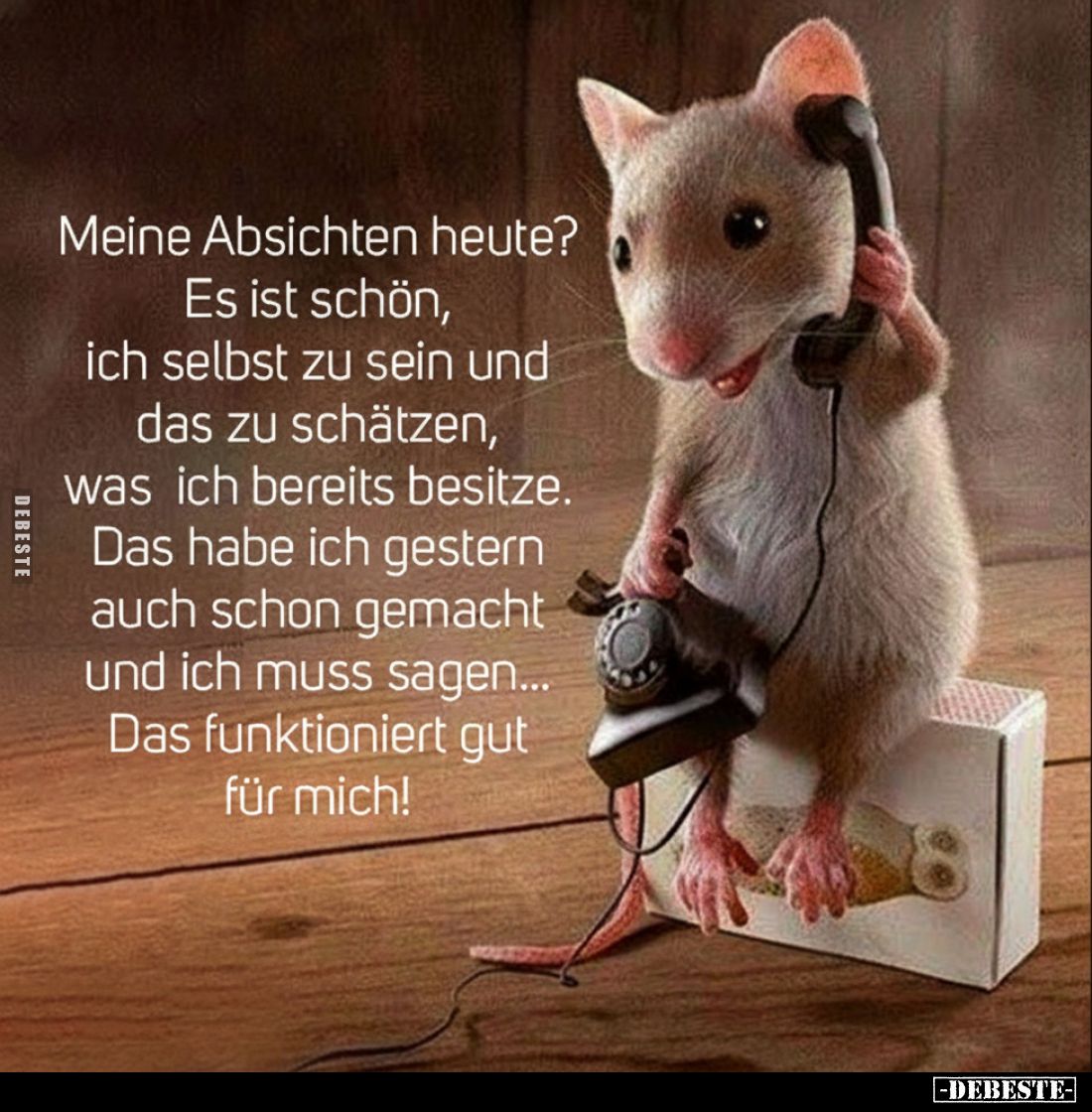 Meine Absichten heute?
Es ist schön, ich selbst zu sein und das zu schätzen, was ich bereits besitze. Das habe ich gestern a...