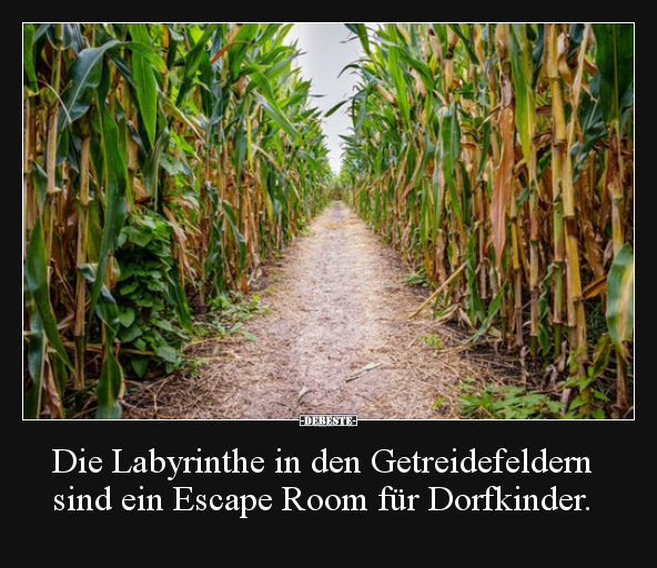 Die Labyrinthe in den Getreidefeldern sind ein Escape Room.. - Lustige Bilder | DEBESTE.de