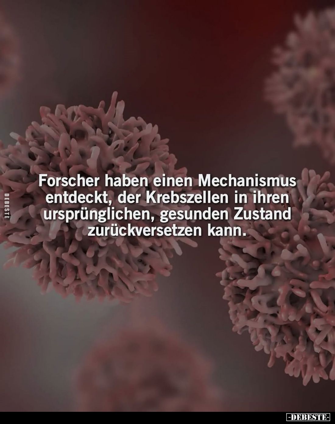 Forscher haben einen Mechanismus entdeckt, der Krebszellen in ihren ursprünglichen, gesunden Zustand zurückversetzen kann.