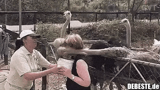 Nicht mein Fetisch..