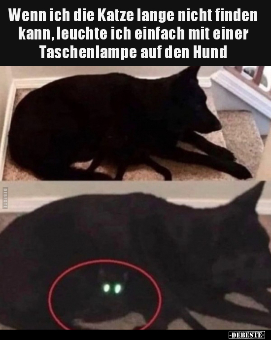 Wenn ich die Katze lange nicht finden kann, leuchte ich.. - Lustige Bilder | DEBESTE.de