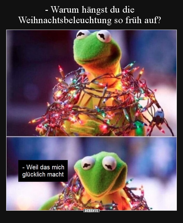 - Warum hängst du die Weihnachtsbeleuchtung so früh.. - Lustige Bilder | DEBESTE.de