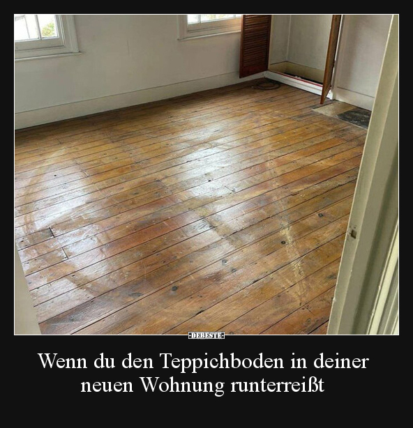 Wenn du den Teppichboden in deiner neuen Wohnung.. - Lustige Bilder | DEBESTE.de