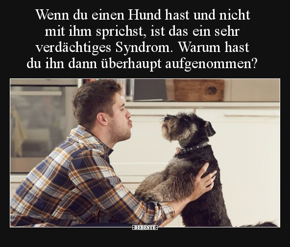 Wenn du einen Hund hast und nicht mit ihm sprichst, ist.. - Lustige Bilder | DEBESTE.de
