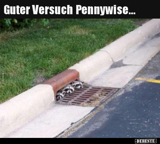 Guter Versuch Pennywise... - Lustige Bilder | DEBESTE.de