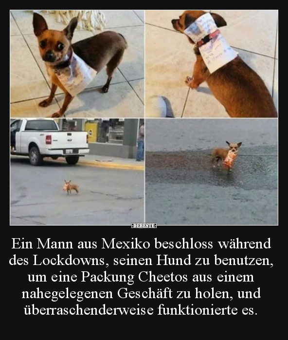 Ein Mann aus Mexiko beschloss während des Lockdowns.. - Lustige Bilder | DEBESTE.de