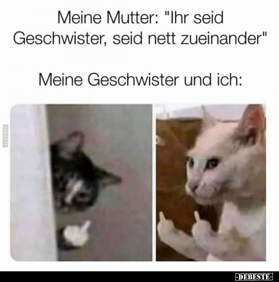 Meine Mutter: "Ihr seid Geschwister, seid nett zueinander".. - Lustige Bilder | DEBESTE.de