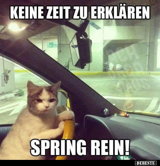 Keine Zeit zu erklären... Spring rein!..
