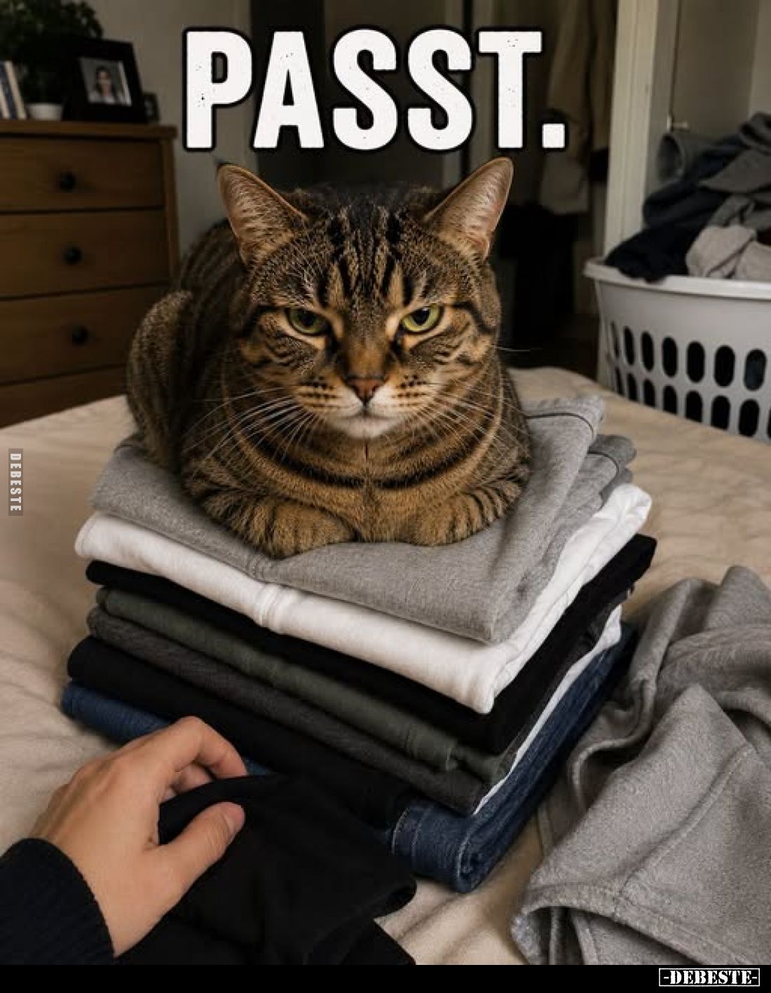 Passt.