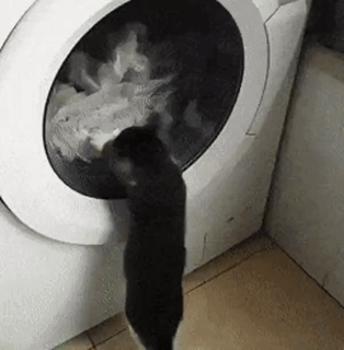 Das beste Unterhaltungsprogramm..