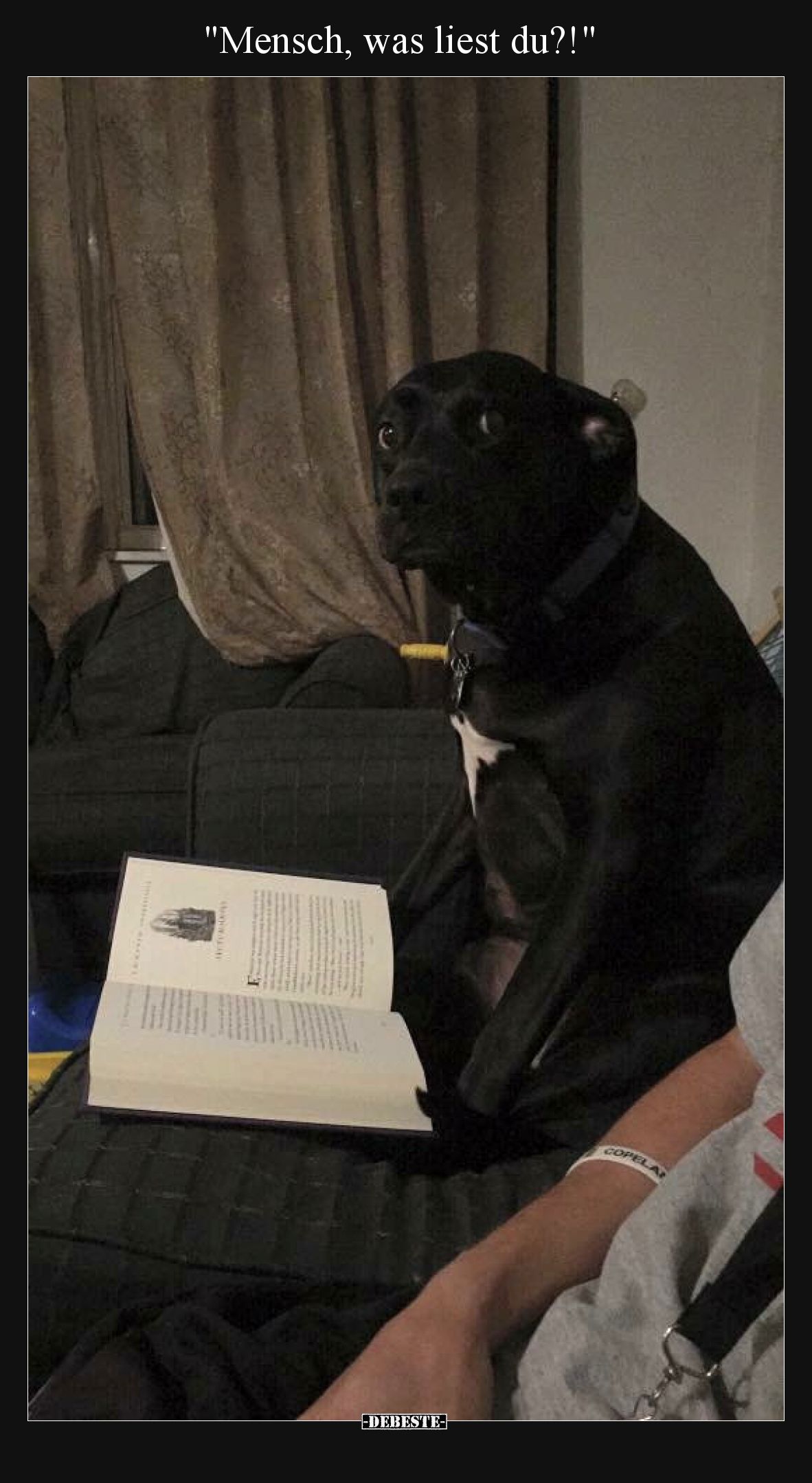 Mensch, was liest du?!