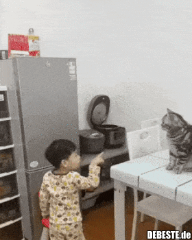 Gut erzogene Katze..