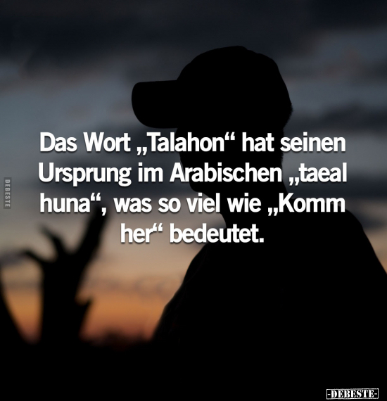 Das Wort "Talahon" hat seinen Ursprung im Arabischen.. - Lustige Bilder | DEBESTE.de